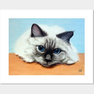 Birman Cat Posters and Art